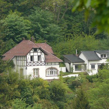 La Dependance De La Villa Des Oiseaux - La Petite Pierre Exterior foto
