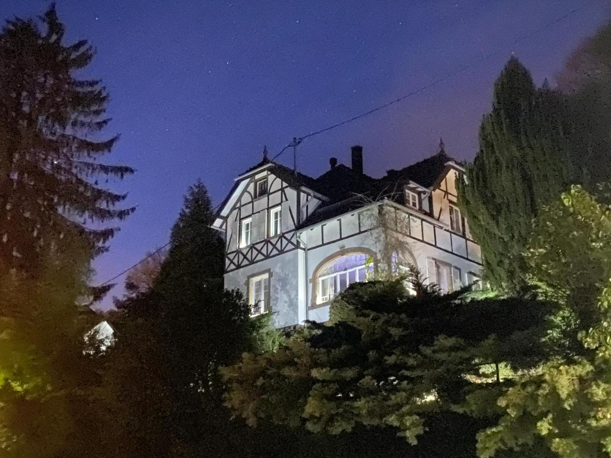 La Dependance De La Villa Des Oiseaux - La Petite Pierre Exterior foto