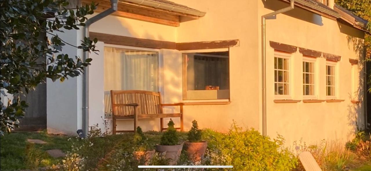 La Dependance De La Villa Des Oiseaux - La Petite Pierre Exterior foto
