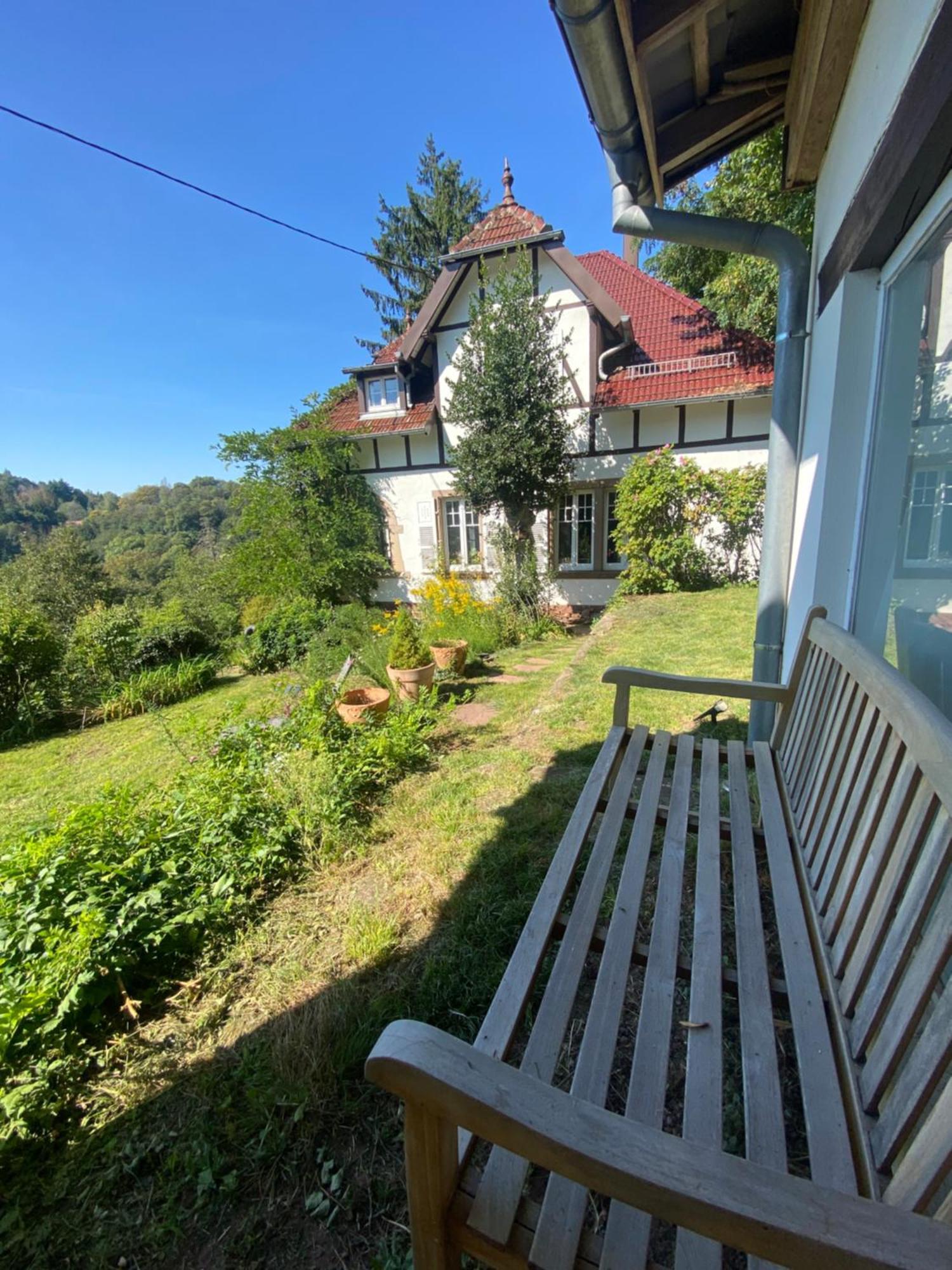 La Dependance De La Villa Des Oiseaux - La Petite Pierre Exterior foto