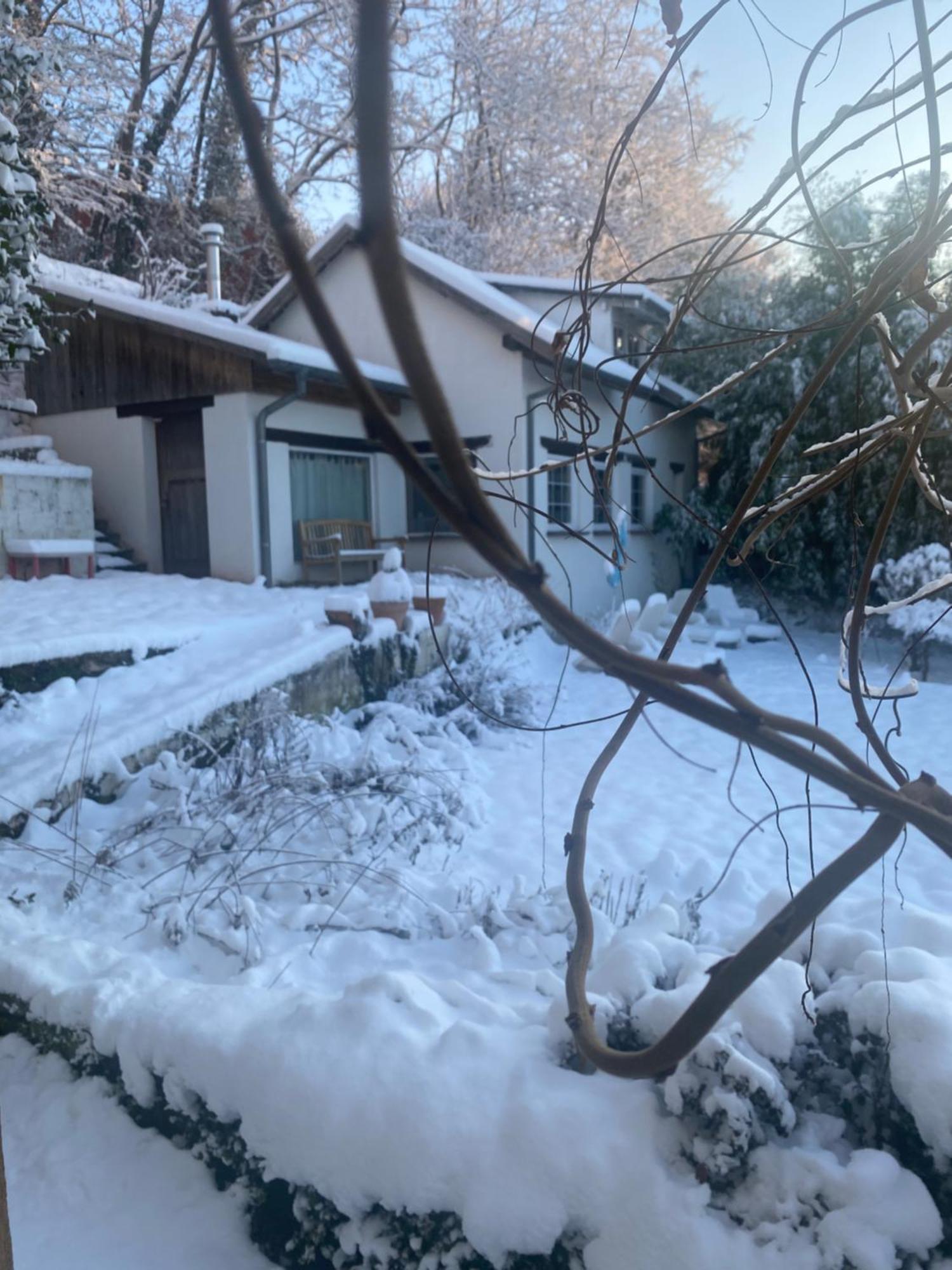 La Dependance De La Villa Des Oiseaux - La Petite Pierre Exterior foto