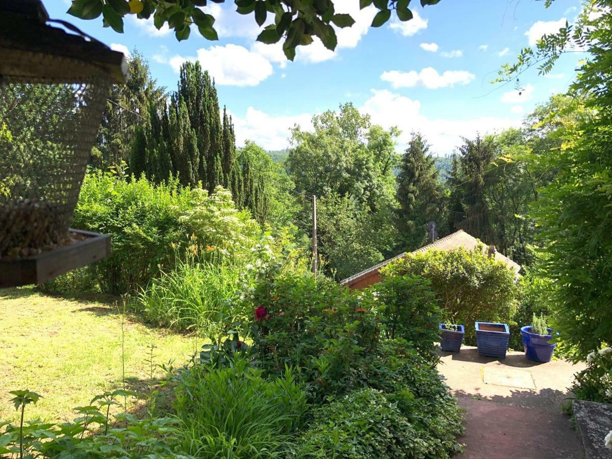 La Dependance De La Villa Des Oiseaux - La Petite Pierre Exterior foto